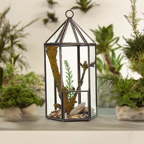 Glass Terrarium - Lantern Shape - Image 3