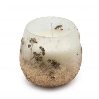 Small Glass Jar Candles - Wildlight Woods
